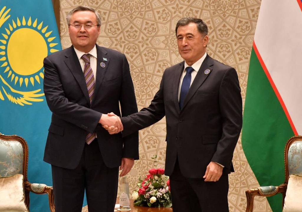 Встреча с главой МИД Казахстана